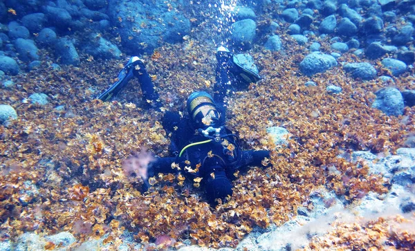 Unterwasserfoto Eines Tauchers Liegen Auf Dem Grund Von Hierro Atlantik — Stockfoto