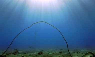 Atlantik Okyanusu 'ndaki Tenerife adasının açıklarındaki bir dalıştan - Kanarya Adaları - İspanya.