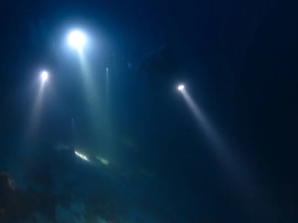 Подводное Фото Света Тёмном Океане Ночного Подводного Плавания Мальдивах — стоковое фото