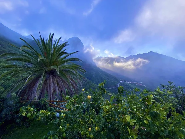Dağda Limon Ağacıyla Çevrili Manzaralı Bir Evden Inanılmaz Güzel Bir — Stok fotoğraf