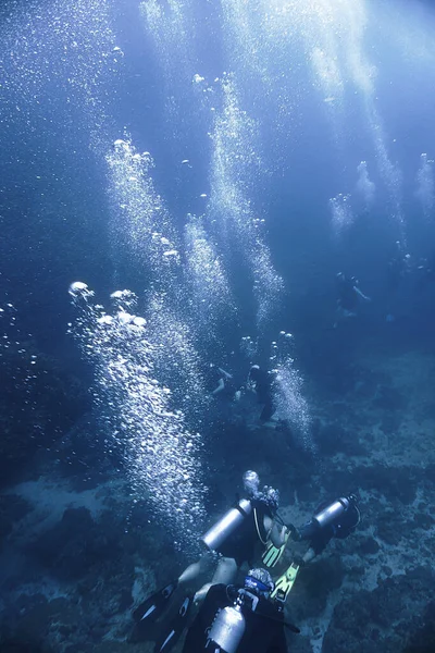 Подводное Фото Акваланга Андаманском Море Таиланде — стоковое фото
