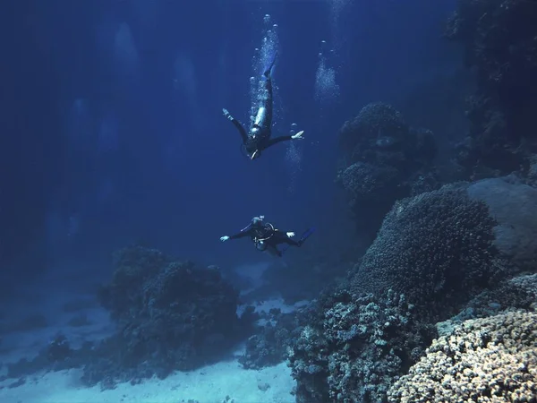 Foto Submarina Buceadores Jugando Océano Desde Buceo Mar Rojo Egipto —  Fotos de Stock