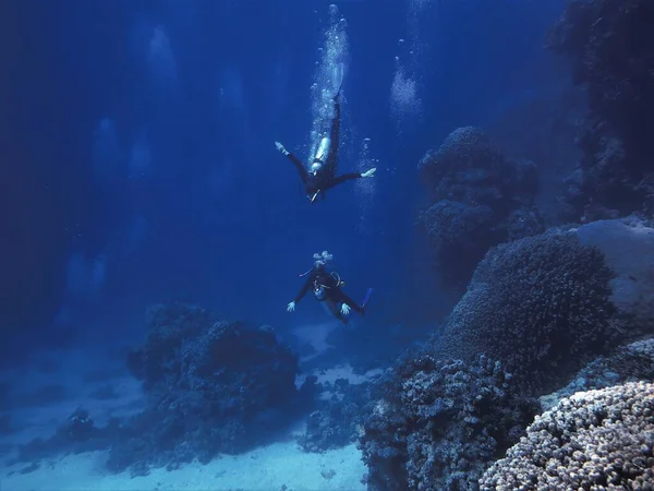 Foto Subaquática Mergulhadores Brincando Oceano Mergulho Mar Vermelho Egito — Fotografia de Stock