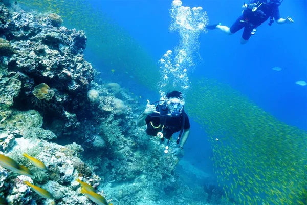 Foto Submarina Buceadores Shools Pargos Amarillos Desde Una Inmersión Tailandia — Foto de Stock