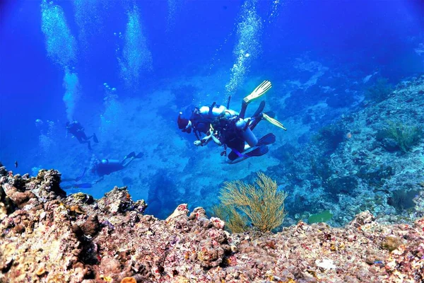 Yılbaşı dalışının sualtı fotoğrafı. Tayland 'daki bir dalıştan..
