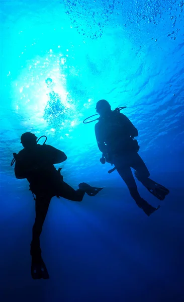 Podvodní Fotografie Siluety Potápěčů Potápění Kanárských Ostrovech Atlantském Oceánu Pobřeží — Stock fotografie