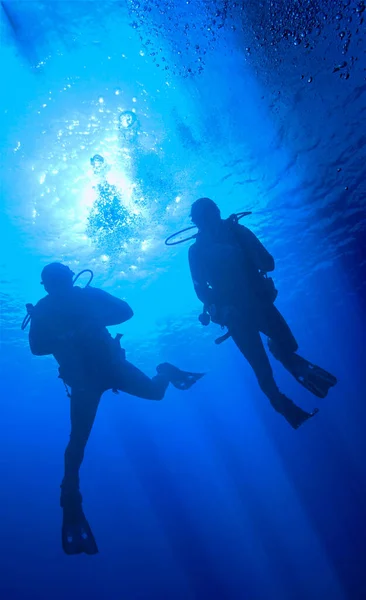 Fotografie Subacvatică Siluetei Scafandrilor Dintr Scufundare Insulele Canare Din Oceanul — Fotografie, imagine de stoc