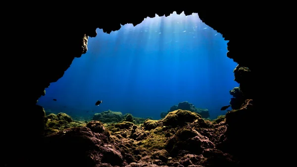 Photo Sous Marine Rayons Soleil Près Une Grotte Une Plongée — Photo