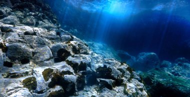 Su altı manzarasında güzel ve şaşırtıcı ışık huzmeleri. Atlantik Okyanusu 'ndaki Kanarya Adaları' ndaki bir tüplü dalışta çekilmiş sualtı fotoğrafı..