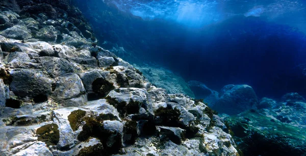 水下风景中美丽而迷人的光芒 在大西洋加那利群岛潜水时拍摄的水下照片 — 图库照片