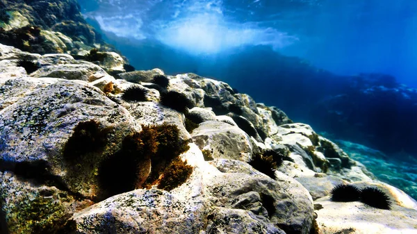 Piękne Niesamowite Promienie Światła Podwodnym Krajobrazie Podwodne Zdjęcie Nurkowania Wyspach — Zdjęcie stockowe