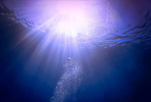 Красивая Подводная Фотография Света Подводного Плавания Египте — стоковое фото