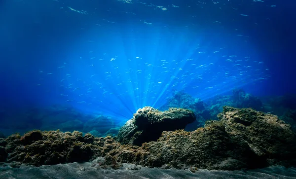 Bella Sorprendente Foto Subacquea Onde Raggi Luce Immersione Subacquea Nelle — Foto Stock