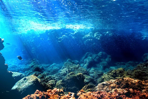 Belle Étonnante Photo Sous Marine Des Vagues Dans Les Rayons — Photo