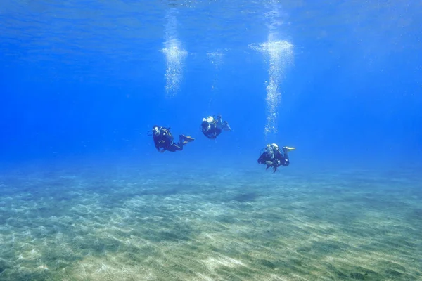 Krásná Podvodní Fotografie Potápěčů Paprscích Světla Potápění Kanárských Ostrovech Atlantském — Stock fotografie