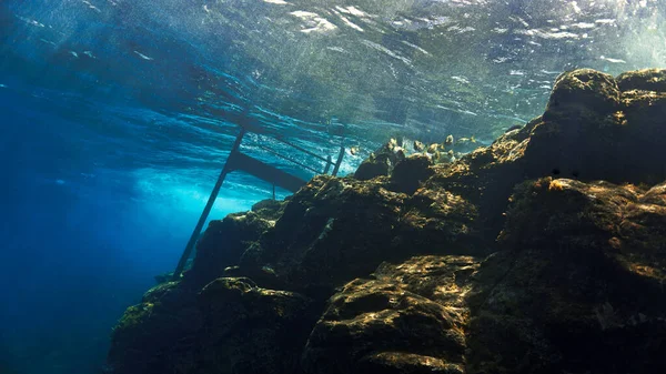 Podwodne Zdjęcie Oceanicznego Życia Pod Schodami Oceanu Nurkowania Wyspach Kanaryjskich — Zdjęcie stockowe