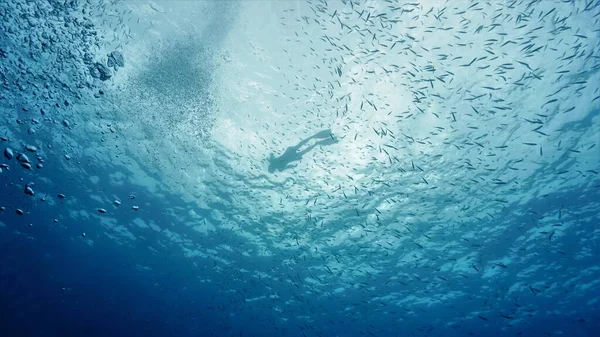 Prachtige Onderwaterfoto Van Een Zwemmer Aan Oppervlakte Zonnestralen Blauwe Oceaan — Stockfoto