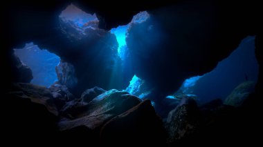 Mağaradaki bir ışık demetinin güzel sualtı fotoğrafı. Atlantik Okyanusu 'ndaki Kanarya Adaları' ndaki (Tenerife) bir dalıştan.. 