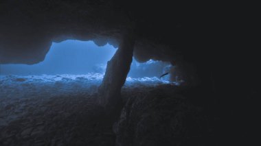 Güneş ışığı olan bir mağaradan güzel bir sualtı fotoğrafı. Atlantik Okyanusu 'ndaki Kanarya Adaları' ndaki bir dalıştan..