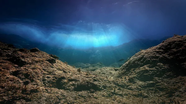 Подводный Пейзаж Волнами Подводного Погружения Канарских Островах Атлантическом Океане Испания — стоковое фото