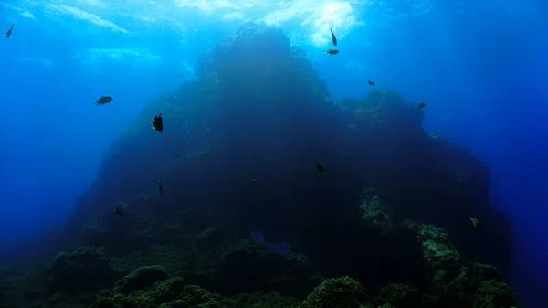 Underwater Mountain Landscape Scuba Dive Canary Islands Atlantic Ocean Spain — Stock Fotó