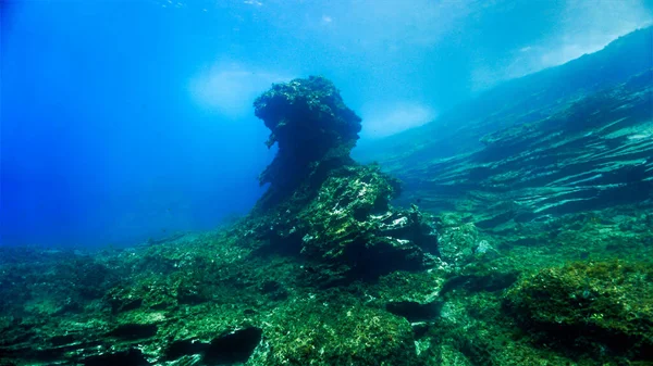 Υποθαλάσσιο Τοπίο Από Μια Κατάδυση Στα Κανάρια Νησιά Στον Ατλαντικό — Φωτογραφία Αρχείου