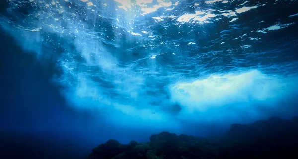 아름다운 수중의 대서양의 카나리아 제도에 들에서 스쿠버 다이빙을 스페인 — 스톡 사진