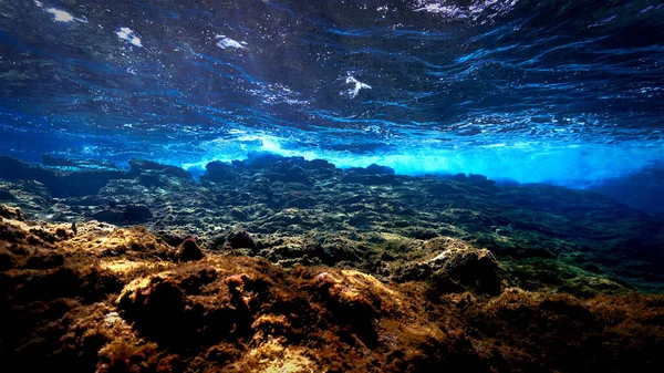 Underwater Photo Beautiful Scenery Reef Scuba Dive Canary Islands Atlantic — Zdjęcie stockowe