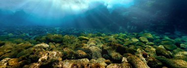 Beautiful underwater photo of rays of sunlight through the waves over the stone bottom. From a scuba dive.