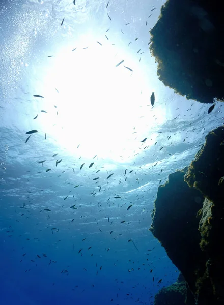 Luz Del Sol Océano Desde Buceo Las Islas Canarias España — Foto de Stock