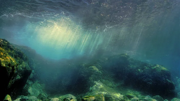 Beautiful underwater landscape in rays of light. From a scuba dive at the Canary islands in the Atlantic ocean.