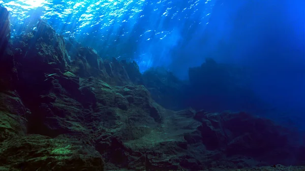 Schöne Unterwasserlandschaft Lichtstrahlen Von Einem Tauchgang Auf Den Kanarischen Inseln — Stockfoto