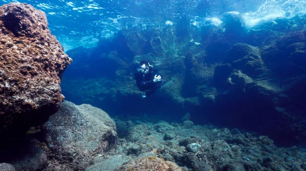 Підводне Фото Підводного Плавання Канарських Островах Атлантичному Океані — стокове фото
