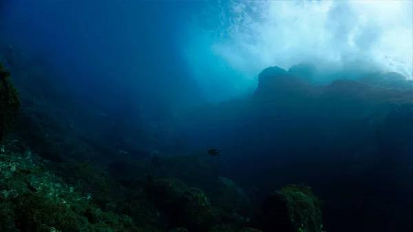 Bonito Mágico Subaquático Ondas Luz Mergulho Nas Ilhas Canárias Espanha — Fotografia de Stock