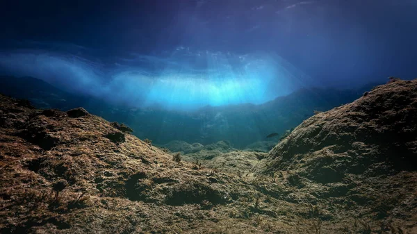 Belle Magique Sous Eau Des Vagues Lumière Une Plongée Dans — Photo