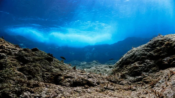 Bella Magica Sott Acqua Onde Luce Una Subacquea Alle Isole — Foto Stock