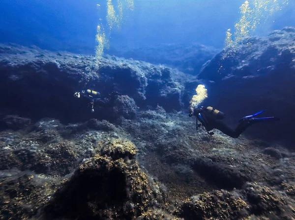 Underwater Landscape Scenery Scuba Canary Islands Spain Atlantic Ocean — Stock Photo, Image