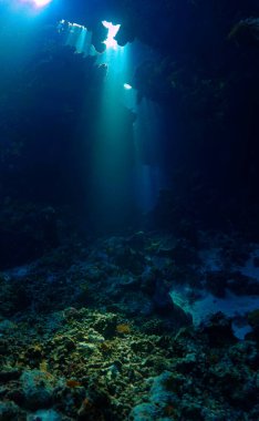 Işık katedralleri. Mağaradaki sihirli güneş ışınlarının sanatsal sualtı fotoğrafı. Tüplü dalış sanatı.