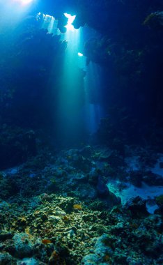 Işık katedralleri. Mağaradaki sihirli güneş ışınlarının sanatsal sualtı fotoğrafı. Tüplü dalış sanatı.