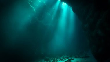 Işık katedralleri. Rüya gibi ve ruhani bir ortamın sualtı fotoğrafı. Mağara tüplü dalıştan güneş ışığına. Belirtilmemiş.