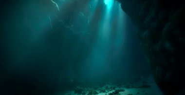 Işık katedralleri. Rüya gibi ve ruhani bir ortamın sualtı fotoğrafı. Mağara tüplü dalıştan güneş ışığına. Belirtilmemiş.