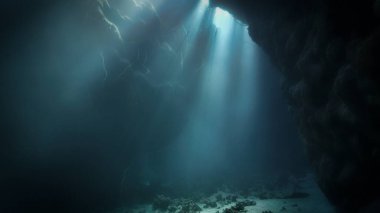 Işık katedralleri. Rüya gibi ve ruhani bir ortamın sualtı fotoğrafı. Mağara tüplü dalıştan güneş ışığına. Belirtilmemiş.