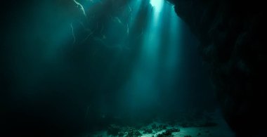Işık katedralleri. Rüya gibi ve ruhani bir ortamın sualtı fotoğrafı. Mağara tüplü dalıştan güneş ışığına. Belirtilmemiş.