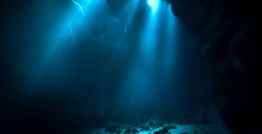 Işık katedralleri. Rüya gibi ve ruhani bir ortamın sualtı fotoğrafı. Mağara tüplü dalıştan güneş ışığına. Belirtilmemiş.