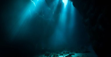 Işık katedralleri. Rüya gibi ve ruhani bir ortamın sualtı fotoğrafı. Mağara tüplü dalıştan güneş ışığına. Belirtilmemiş.