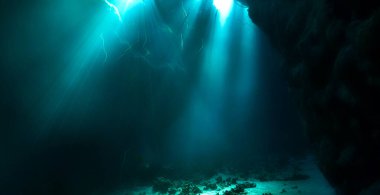 Işık katedralleri. Rüya gibi ve ruhani bir ortamın sualtı fotoğrafı. Mağara tüplü dalıştan güneş ışığına. Belirtilmemiş.