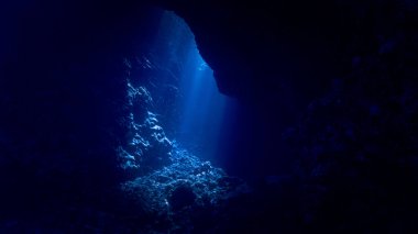 Işık katedralleri. Rüya gibi ve ruhani bir ortamın sualtı fotoğrafı. Mağara tüplü dalıştan güneş ışığına. Belirtilmemiş.