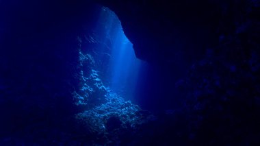 Işık katedralleri. Rüya gibi ve ruhani bir ortamın sualtı fotoğrafı. Mağara tüplü dalıştan güneş ışığına. Belirtilmemiş.