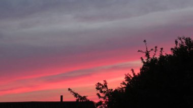 Güneş batarken tropikal sahilde iki palmiye ağacı silueti.