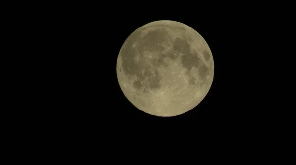 Closeup of full moon cute astronomy moonlight.